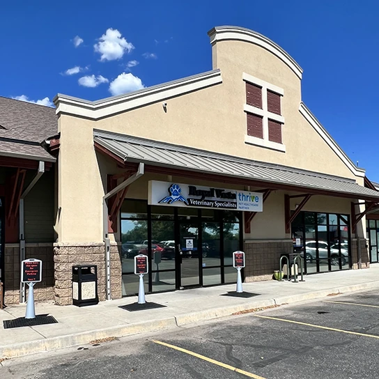 Pet Supplies, Animal Hospital in Windsor, CO