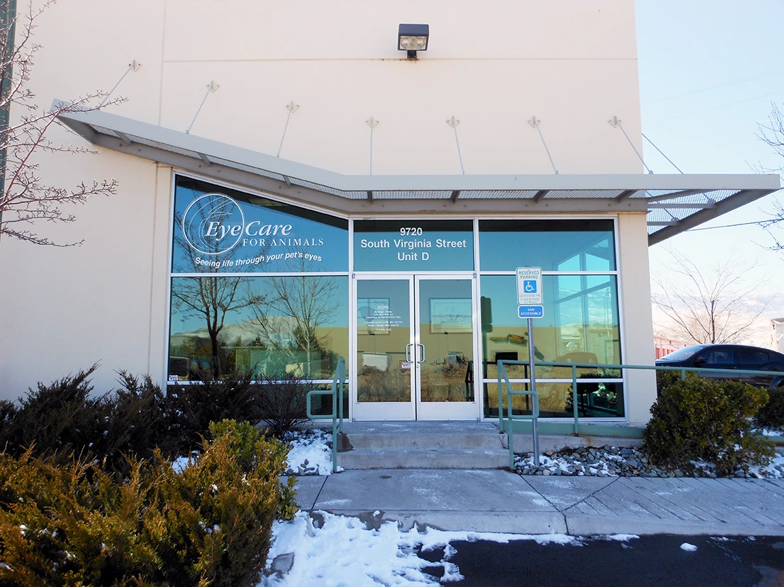 Eye Care For Animals - Reno