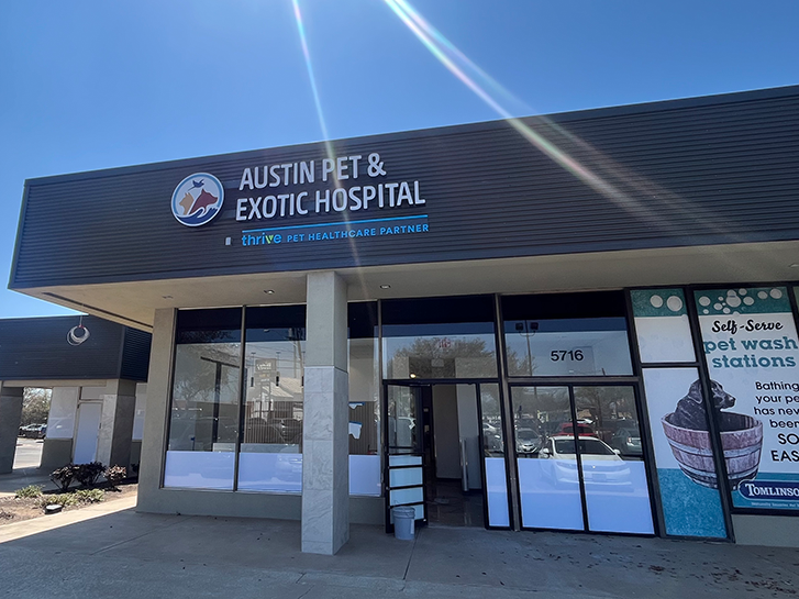 Dog, Cat, & Exotics Vet Austin | Austin Pet & Exotic Hospital
