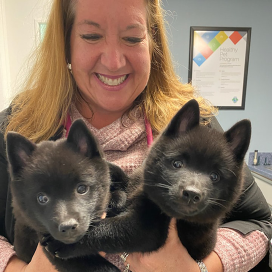 Animal Hospital of Seminole