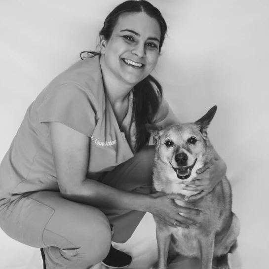 Hickory Small Animal Hospital, Independence