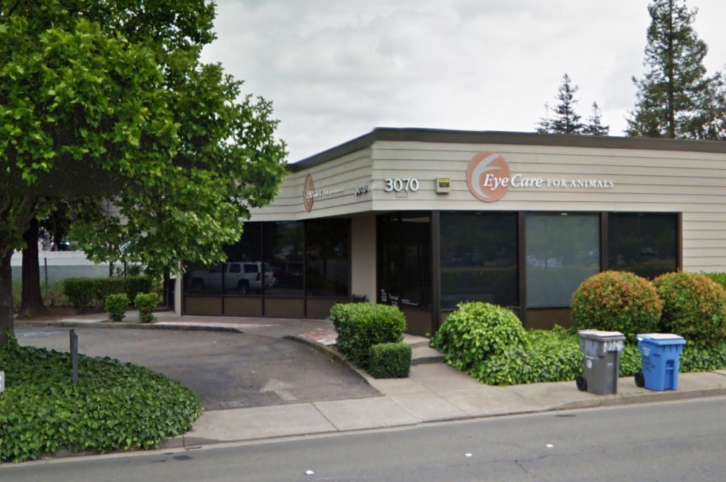 Eye Care For Animals - Santa Rosa