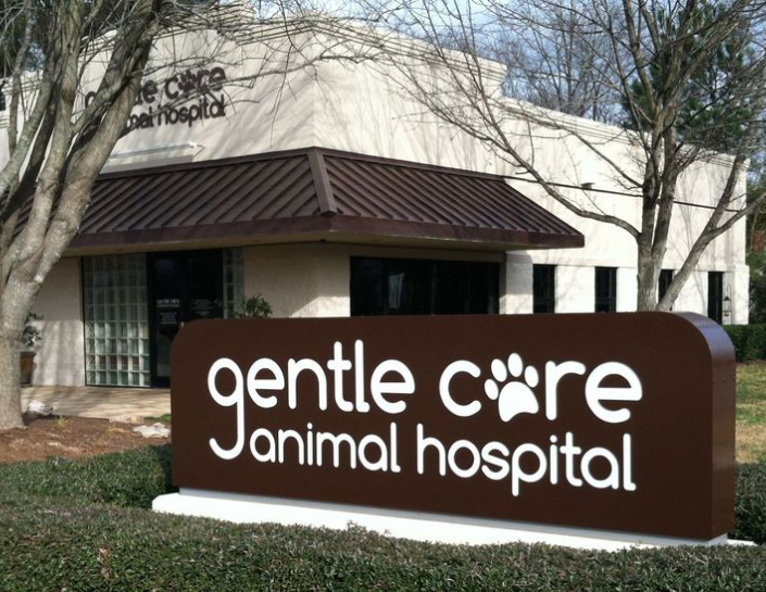 Care fashion animal hospital