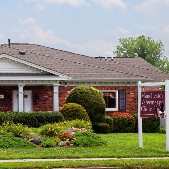 Veterinary Clinic Manchester Thrive Pet Healthcare