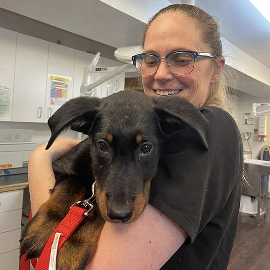 Thrive Pet Healthcare - Natick