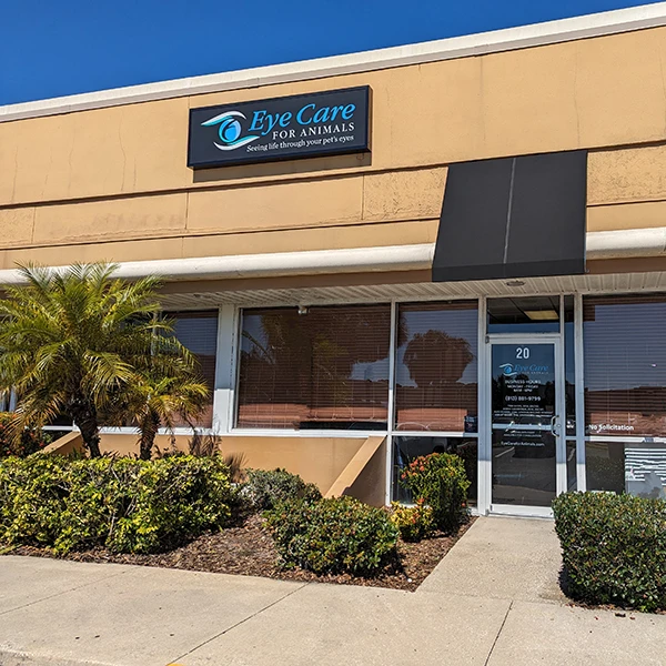 Eye Care For Animals - Tampa