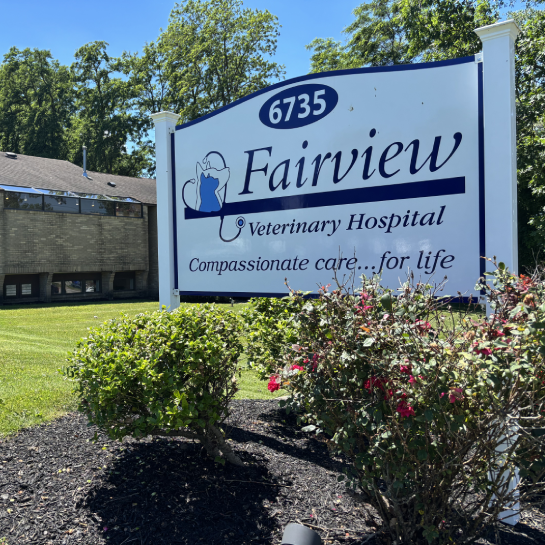 Fairview Veterinary Hospital