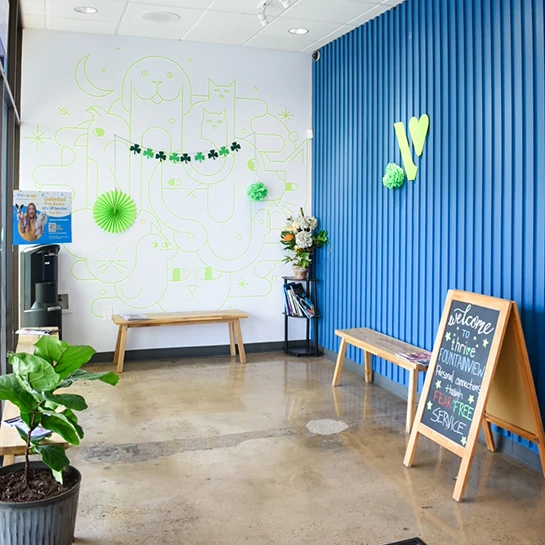 Thrive Pet Healthcare - Fountainview