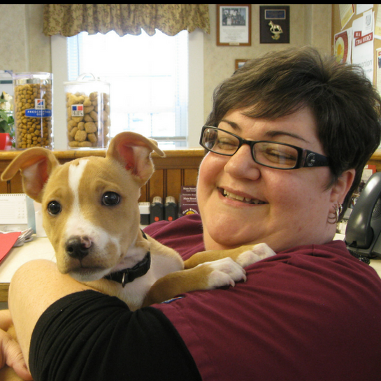Main Street Animal Hospital