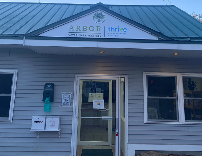 Arbor Veterinary Services Veterinary Care In New Hampshire