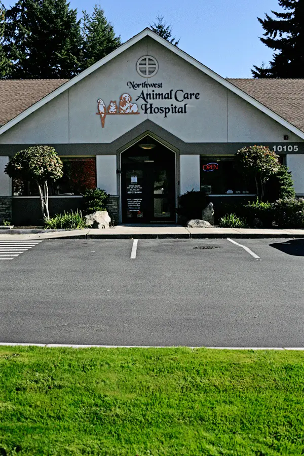 Northwest cheap animal clinic