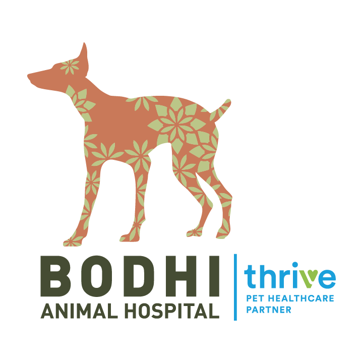 Bodhi Animal Hospital