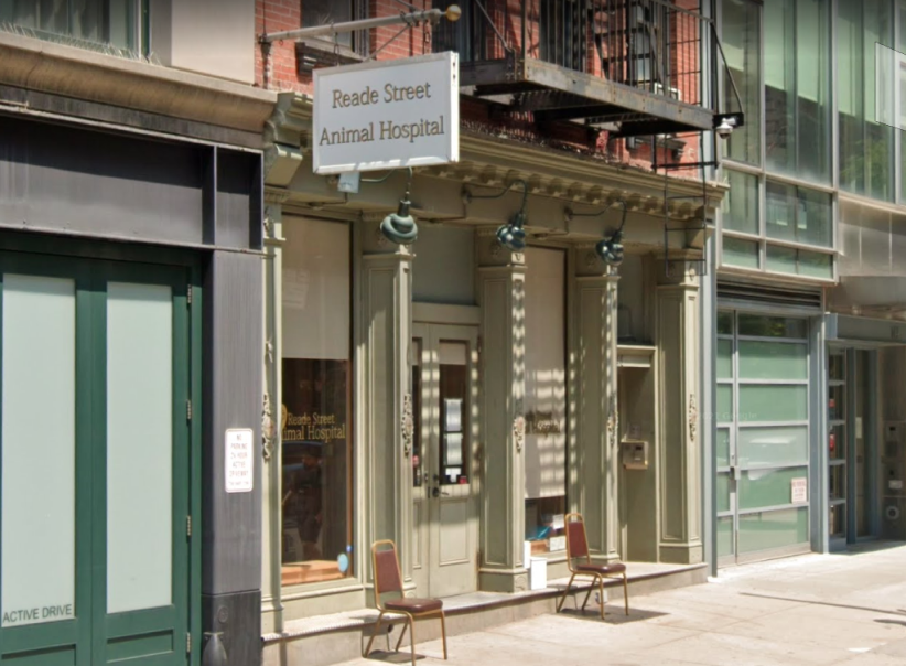 Reade Street Animal Hospital Veterinary Care in New York
