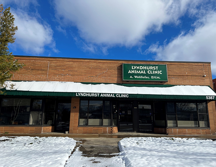 Lyndhurst Animal Clinic Thrive Pet Healthcare