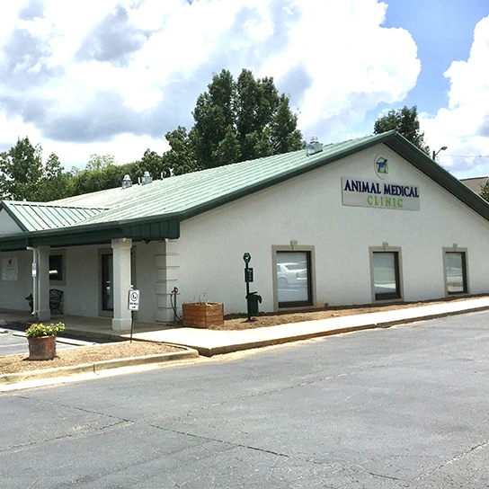 Animal Medical Clinic of Peachtree City