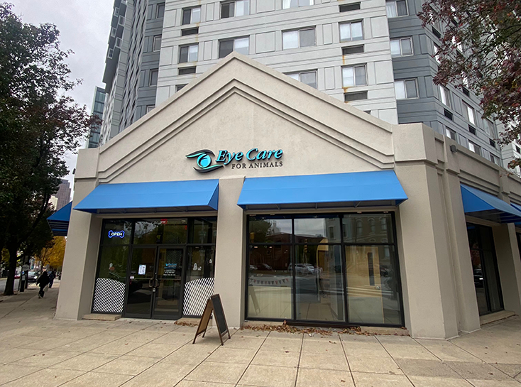 Eye Care For Animals - Philadelphia 