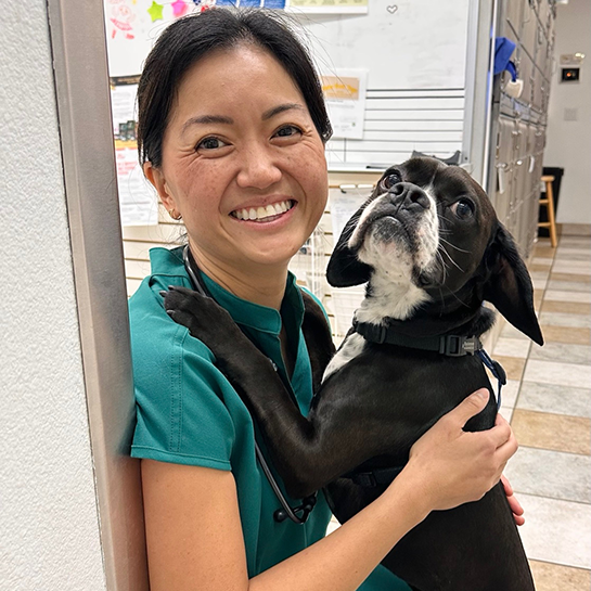Stonecreek Animal Hospital