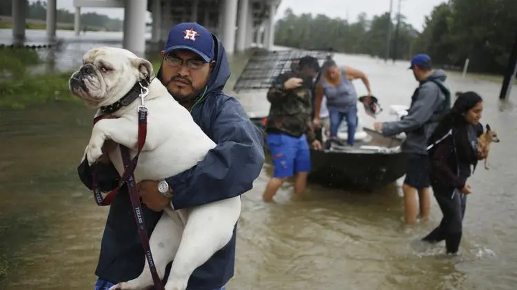 Man holding dog in arms during flood while other team members helping people out of boat