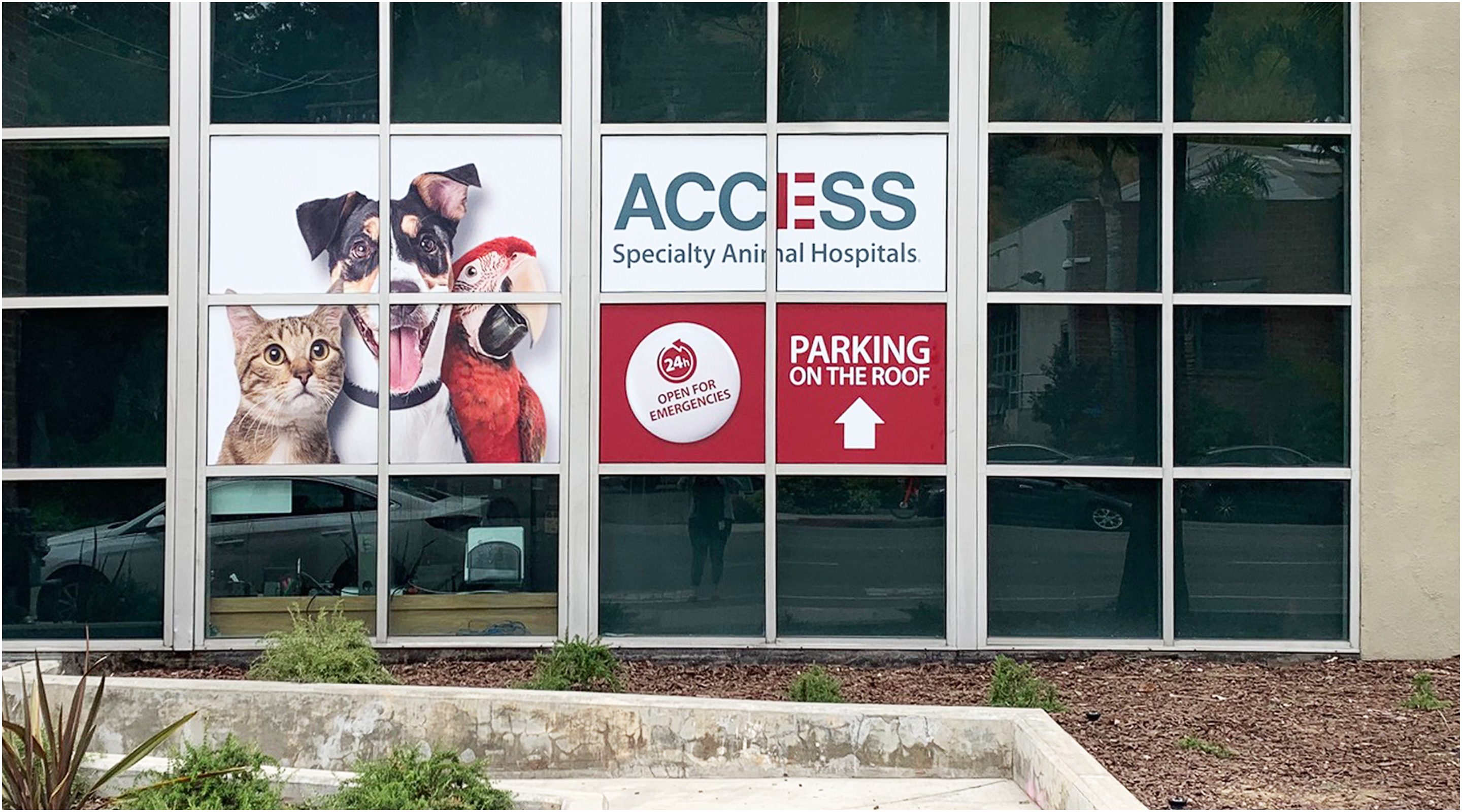 Emergency Vet Los Angeles ACCESS Specialty Animal Hospitals