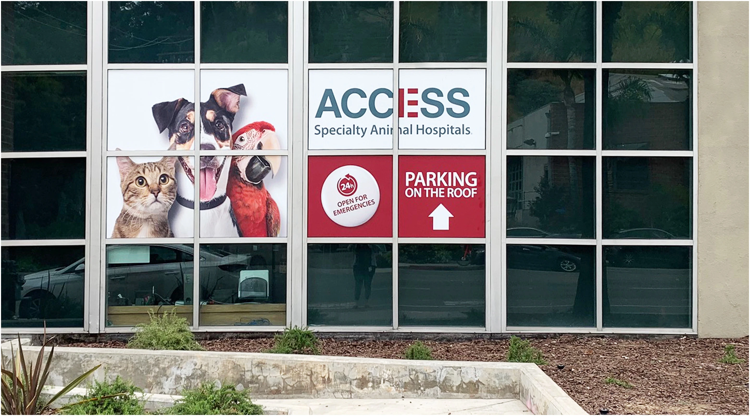 ACCESS Specialty Animal Hospitals - Los Angeles