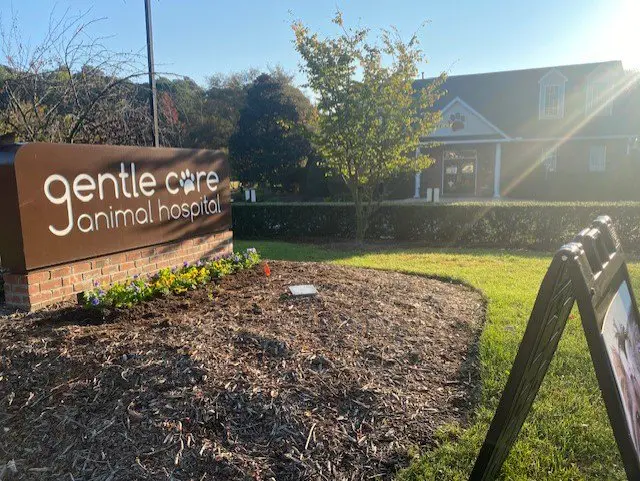 Gentle Care Animal Hospital at Ten Ten
