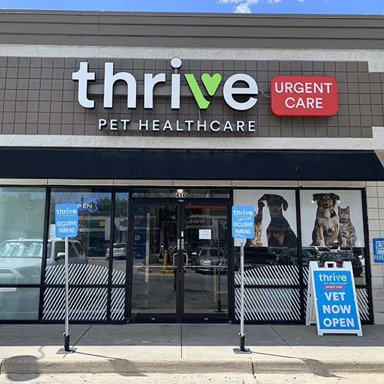 Thrive affordable vet hot sale care near me