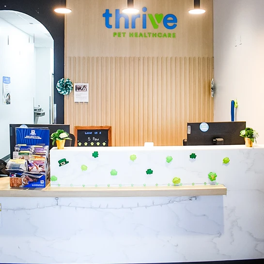 Thrive Pet Healthcare - The Heights