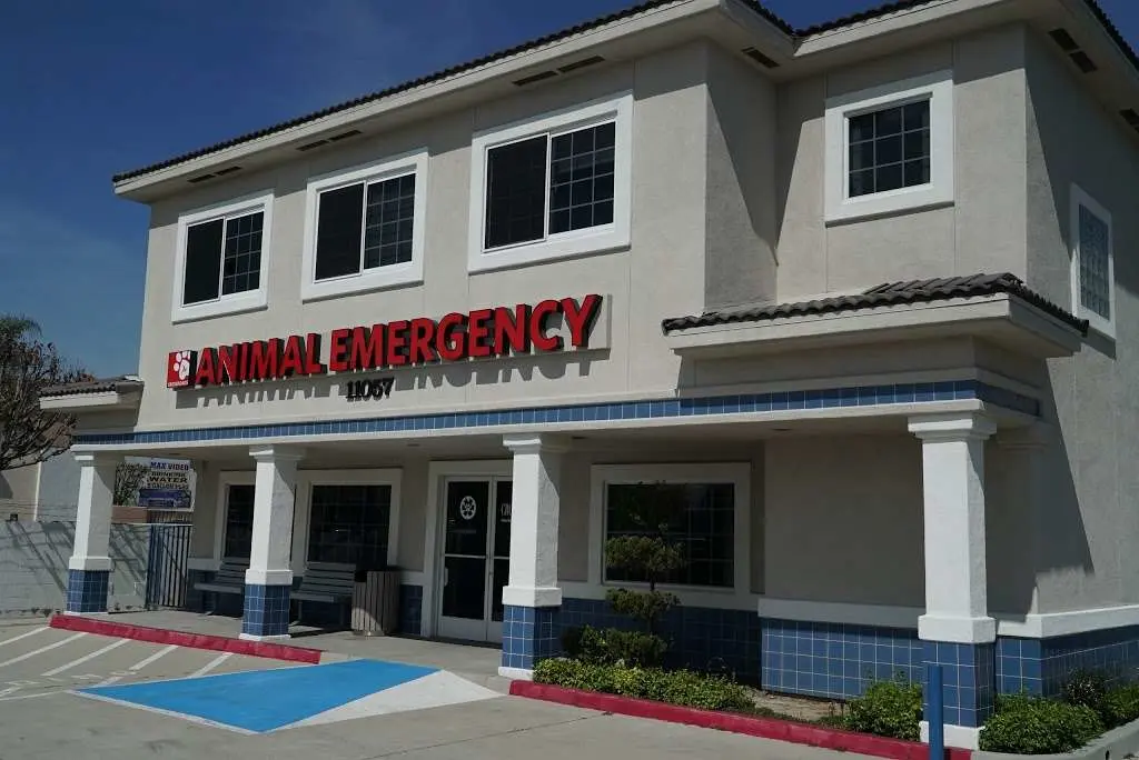 Emergency Animal Hospital