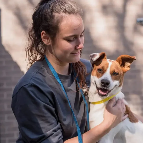 The Pet Hospitals Lakeland
