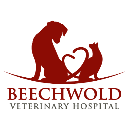 Veterinarian Columbus, OH | Beechwold Veterinary Hospital