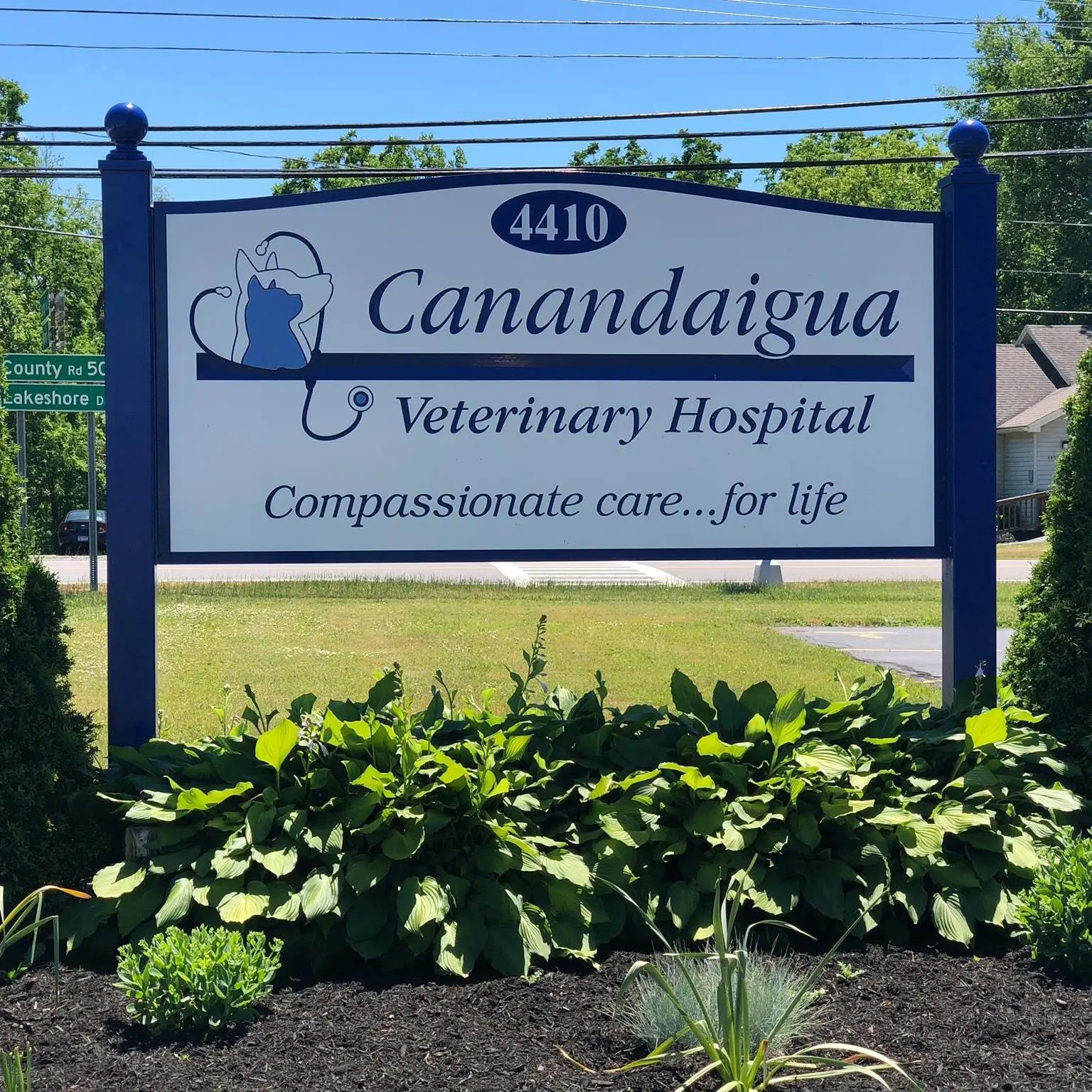 Canandaigua Veterinary Hospital Thrive Pet Healthcare