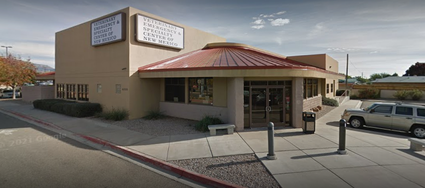 Dermatology for Animals - Albuquerque
