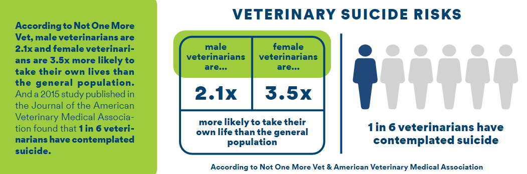 Vet Suicide Risk Infographic