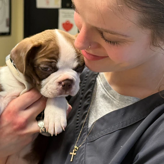Veterinarian Redmond WA | Redmond-Kirkland Animal Hospital