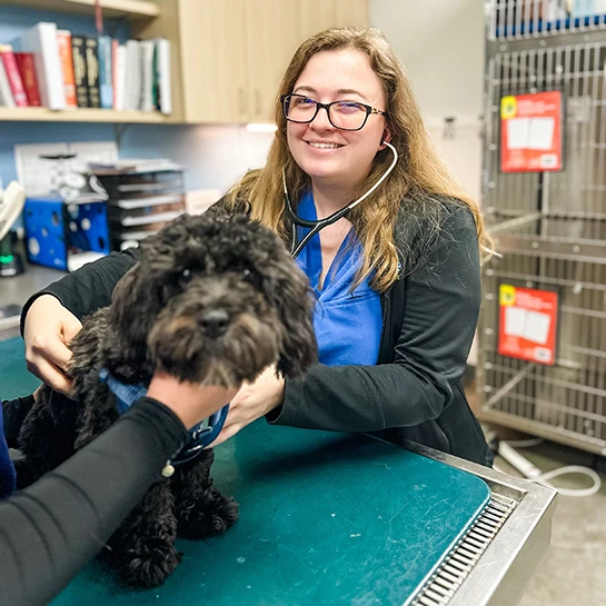 Thrive Pet Healthcare - Eldridge