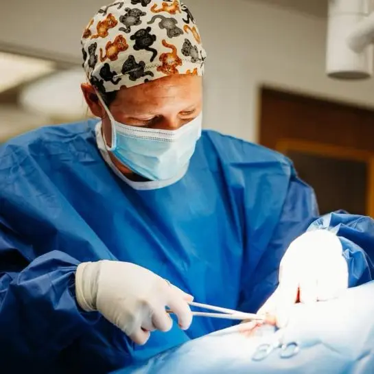 Thrive Pet Healthcare - Natick