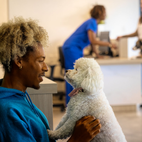 Thrive Pet Healthcare Frederick Veterinary Care