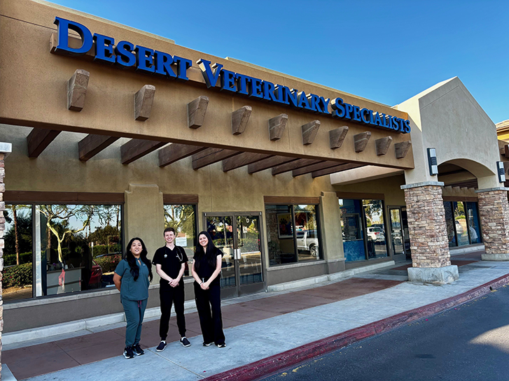 Eye Care for Animals – Palm Desert