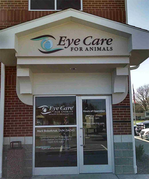 Veterinary Ophthalmology Akron, OH Eye Care for Animals