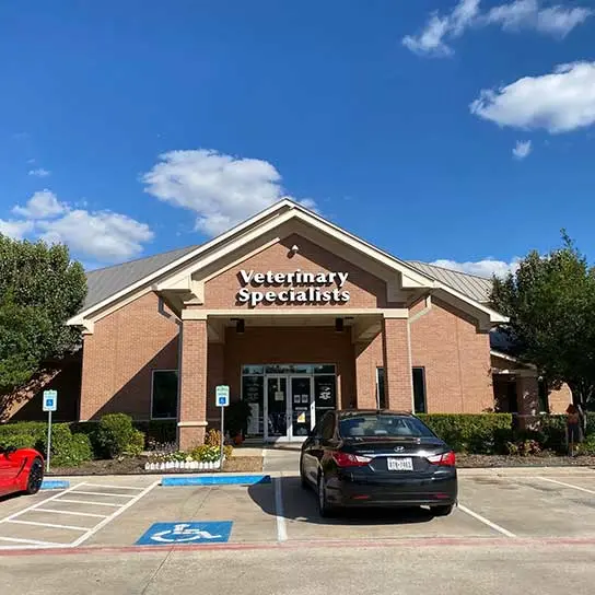 PetCure Oncology Sugar Land, TX Thrive Pet Healthcare