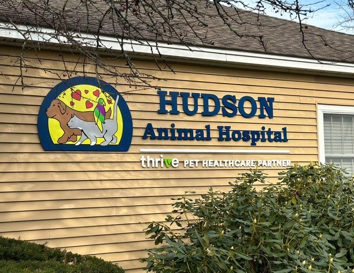 Hudson Animal Hospital Thrive Pet Healthcare