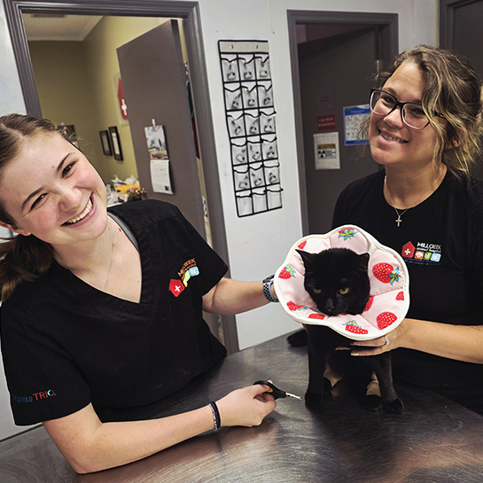 Millcreek Animal Hospital