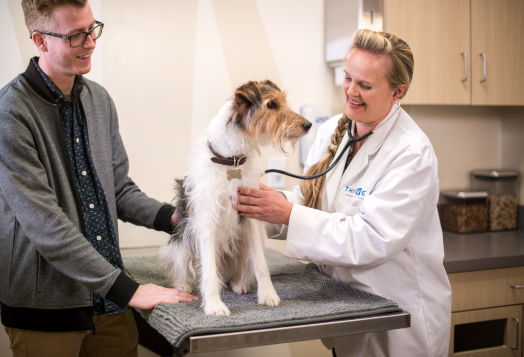 Veterinarian providing wellness exam to pet while owner stands by table