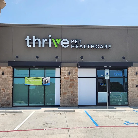 Vet Near Me Wylie, TX Thrive Pet Healthcare