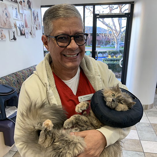 Stonecreek Animal Hospital
