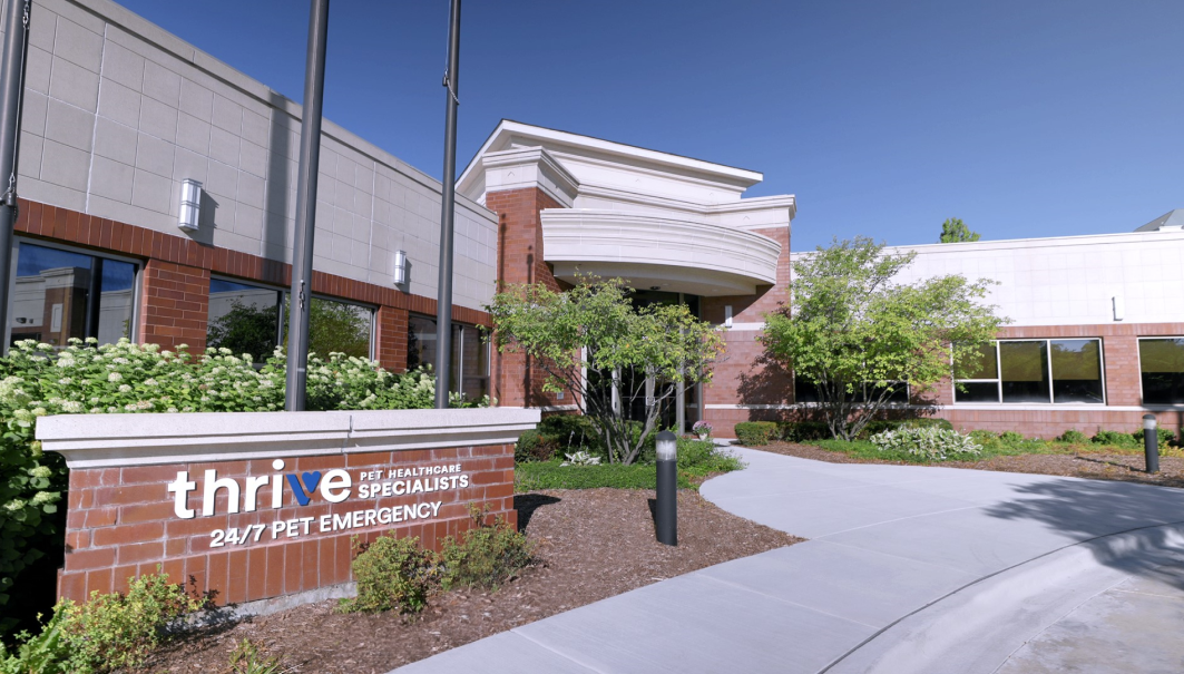 Thrive Pet Healthcare office