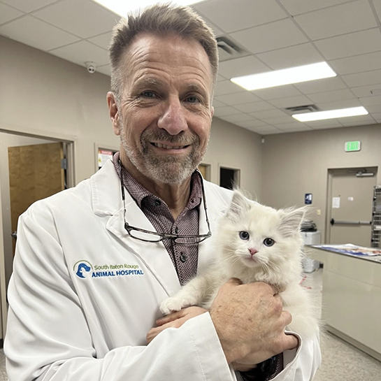 South Baton Rouge Animal Hospital