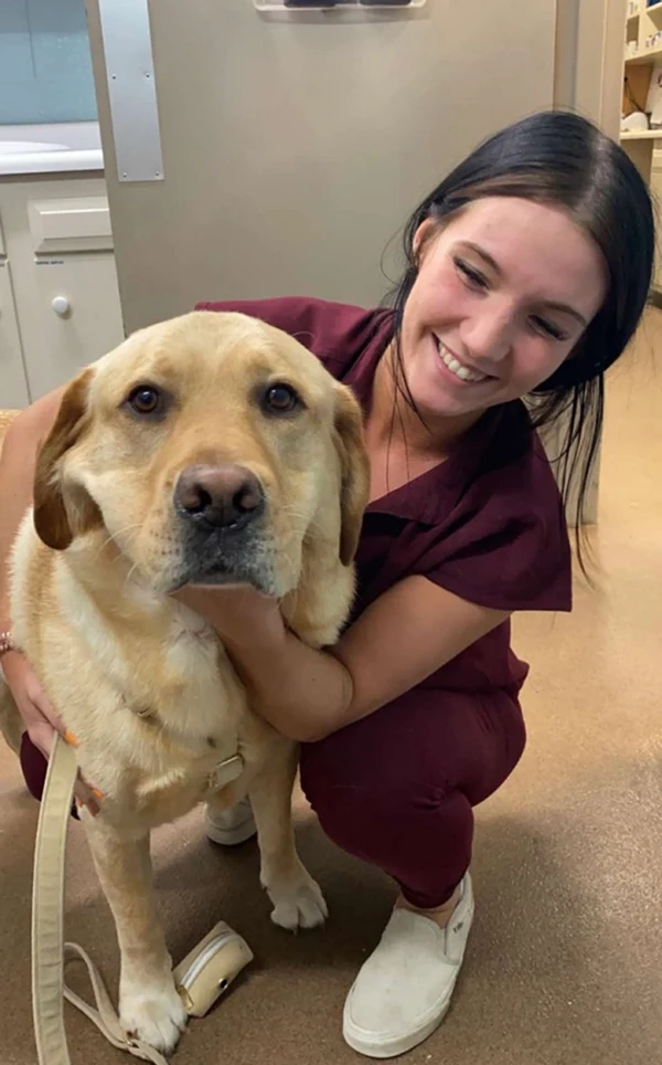 Powell Animal Hospital Thrive Pet Healthcare