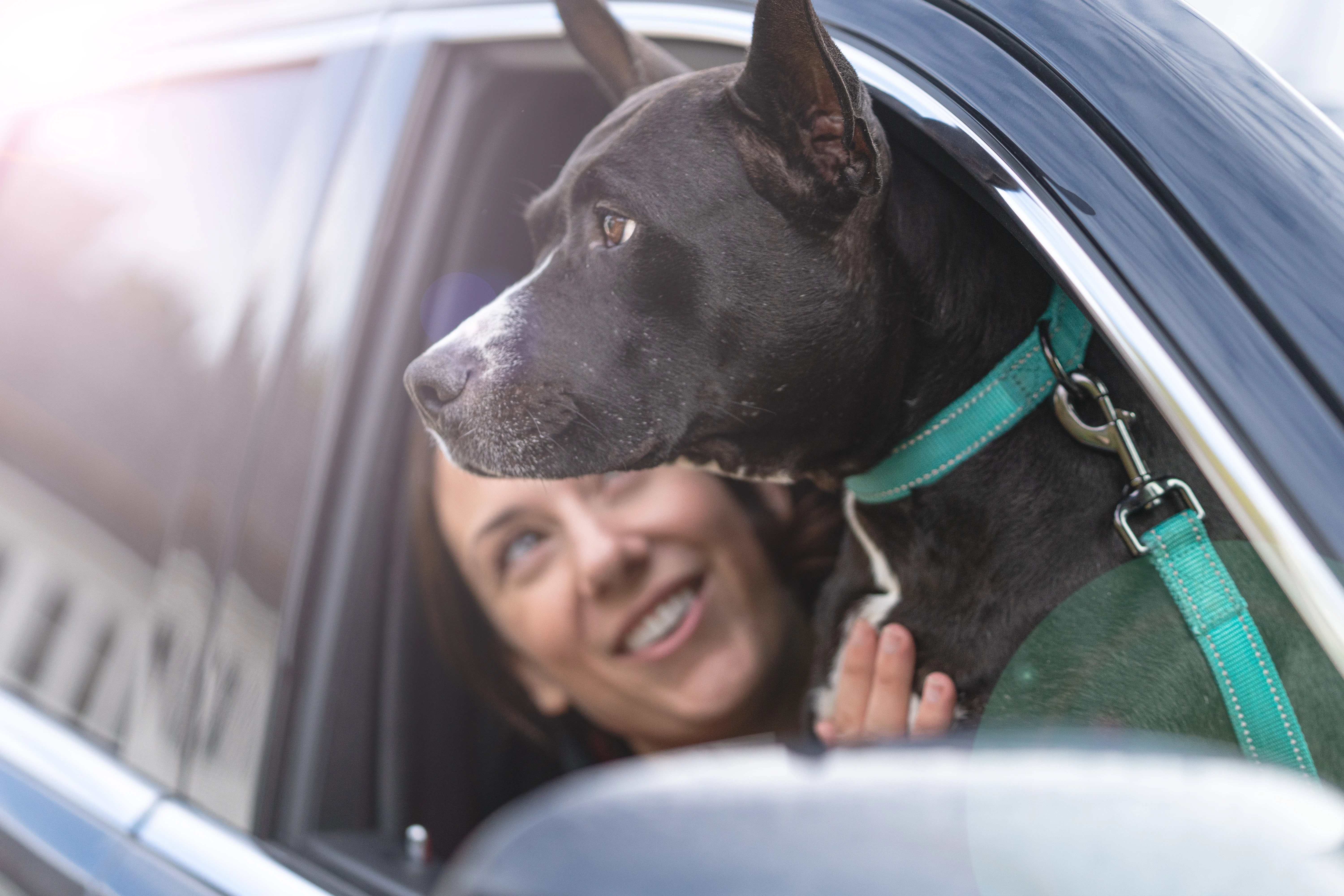 Dog & woman in car