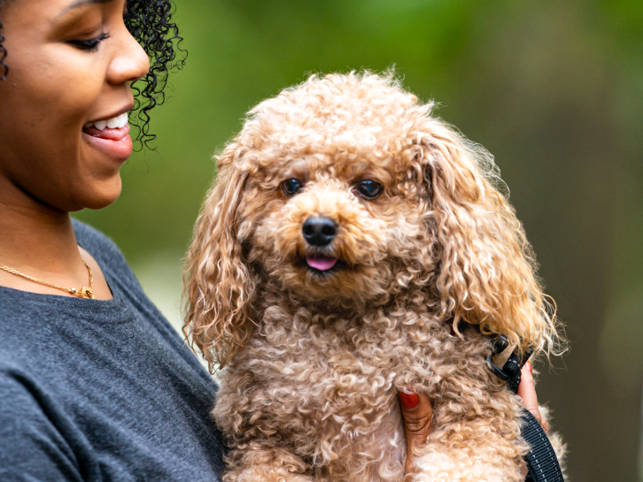 Thrive Pet Healthcare - Catonsville